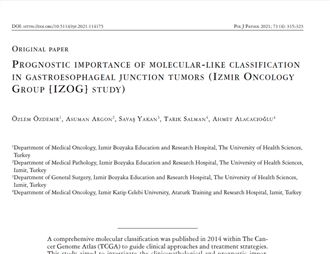 Prognostic importance of molecular-like classification in gastroesophageal junction tumors (Izmir On
