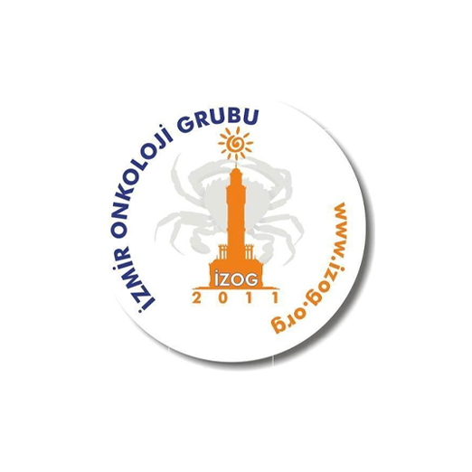 Webinar Toplantı Videoları